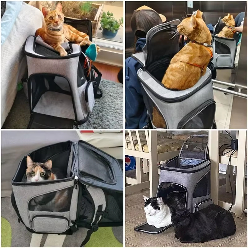 Cat Bag Outdoor Portable Cat B - Foldable Backpack Small recension och pris